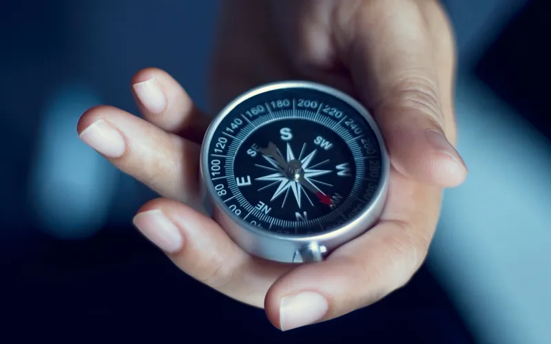 Agentis Management|Executive Management